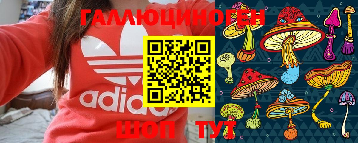 Галлюциногенные грибы Psilocybe  Вход с VPN  Тихорецк  Псилоцибиновые грибы прущие грибы 